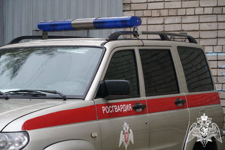 В столице Карелии росгвардейцы задержали водителя в состоянии алкогольного опьянения
