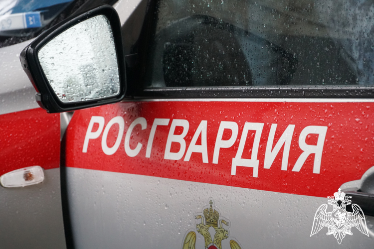 За прошедшую неделю экипажи Росгвардии задержали 13 правонарушителей