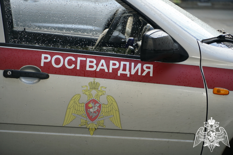 За неделю росгвардейцы совершили 290 выездов по сообщениям и поступлению сигналов тревоги в Карелии