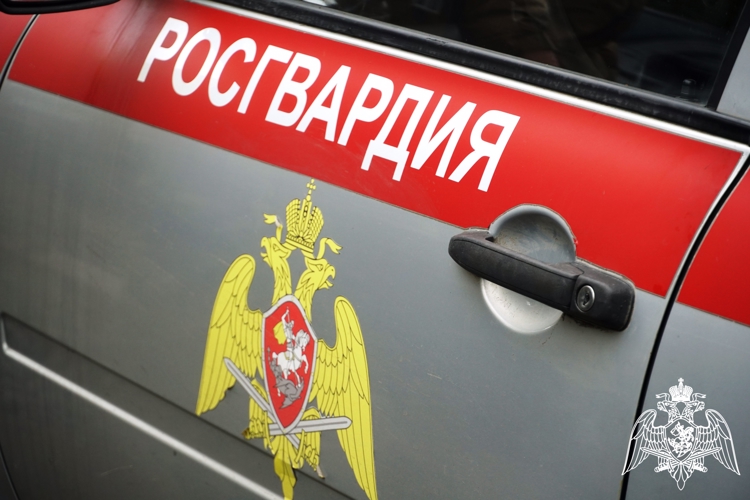 В Сегеже росгвардейцы задержали гражданина, похитившего продукты питания из магазина