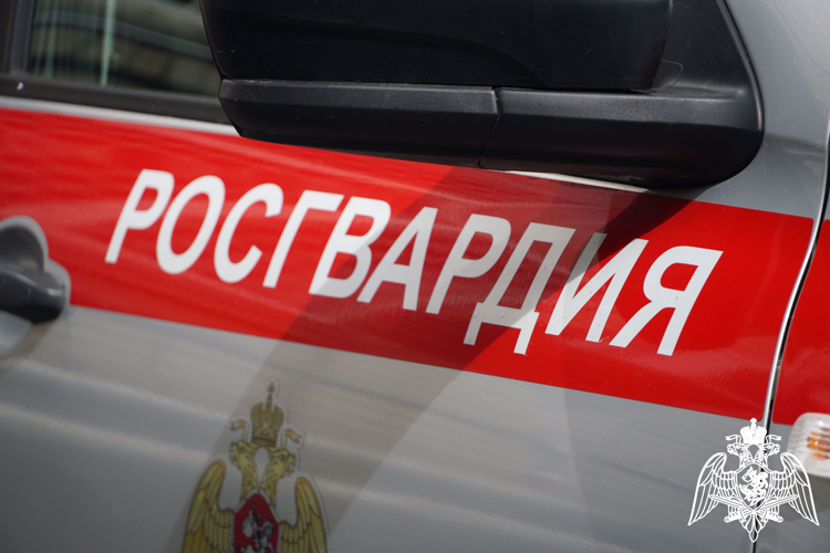 За прошедшую неделю сотрудники Росгвардии задержали шесть правонарушителей
