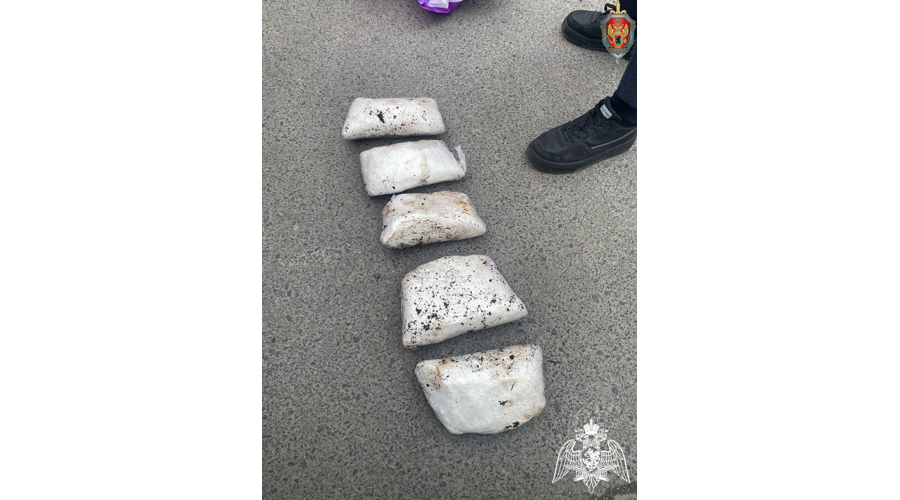 В Петрозаводске при содействии спецназа Росгвардии задержаны обвиняемые в незаконном сбыте наркотических средств