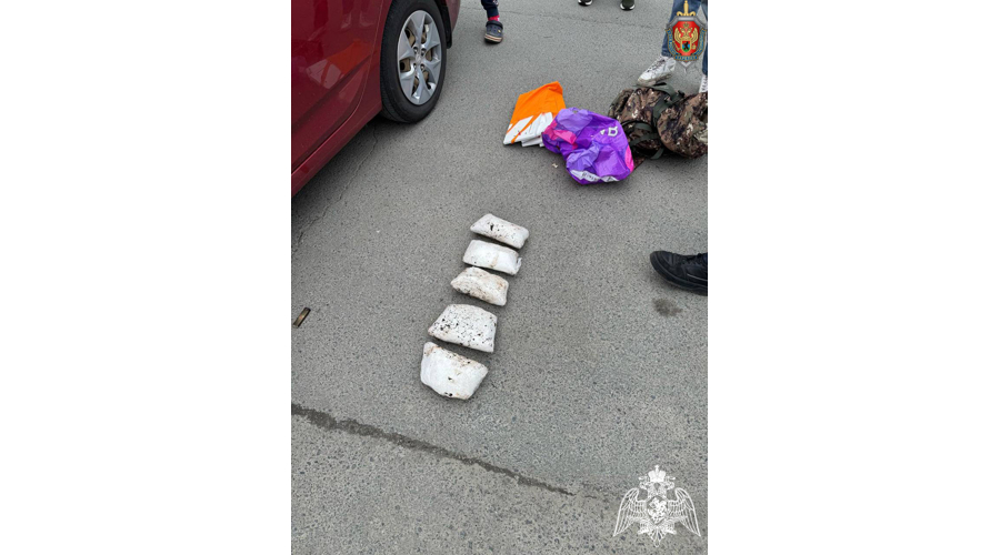 В Петрозаводске при содействии спецназа Росгвардии задержаны обвиняемые в незаконном сбыте наркотических средств
