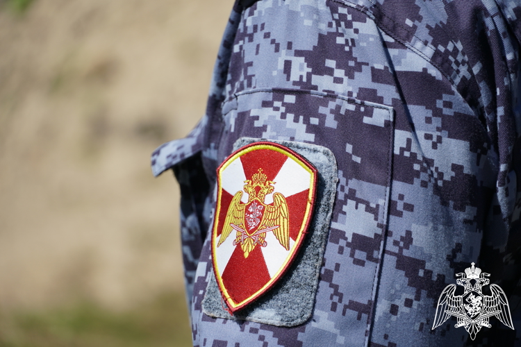 За неделю карельские росгвардейцы пресекли девять попыток хищения имущества организаций