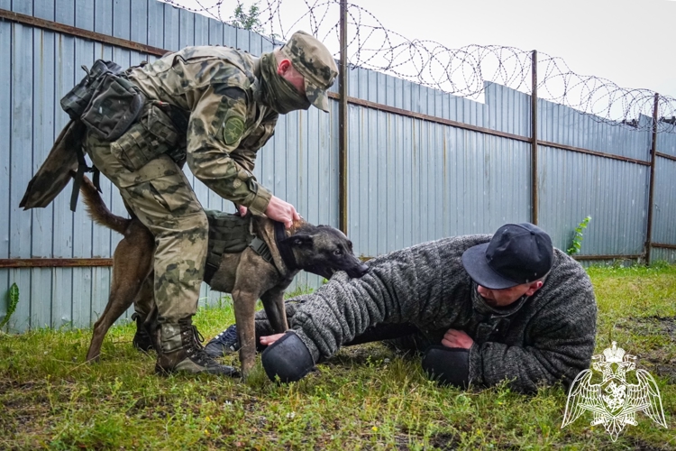 В Северо-Западном округе Росгвардии стартовал летний период подготовки (видео)