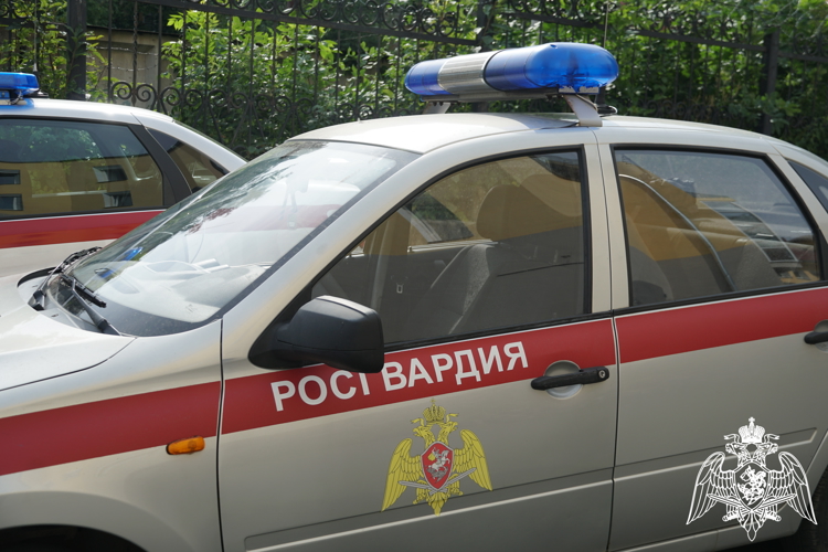 За неделю карельские росгвардейцы задержали 7 человек за административные правонарушения
