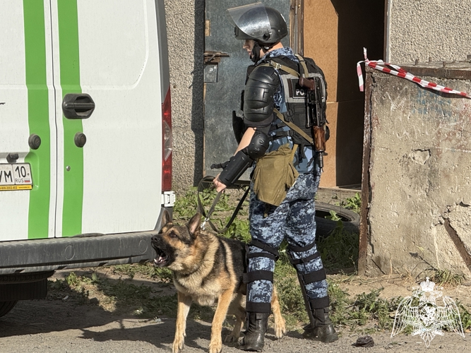 В Карелии прошло тактико-специальное учение Росгвардии (ВИДЕО)