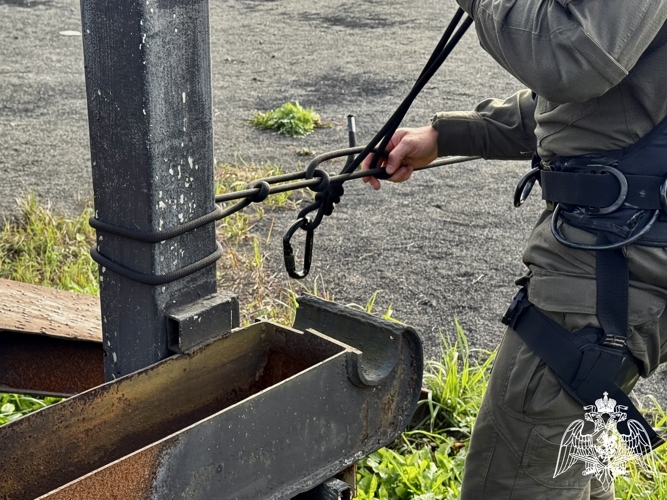 В Карелии бойцы СОБР «Карху» усовершенствовали навыки высотной подготовки (видео)