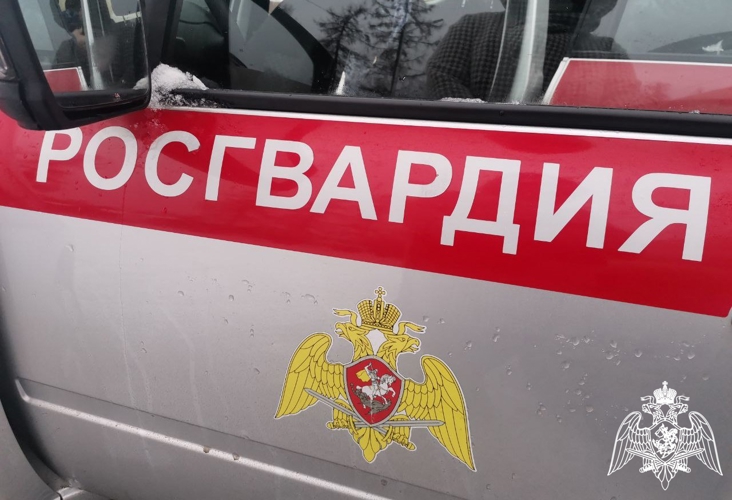 За неделю патрули Росгвардии задержали 10 человек за административные правонарушения 