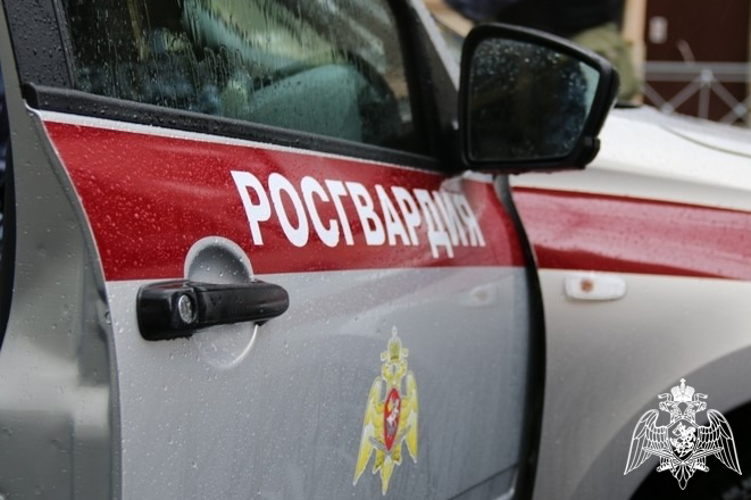 12 правонарушителей были задержаны сотрудниками Росгвардии за минувшую неделю