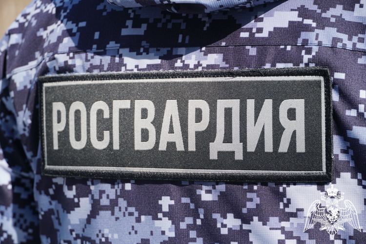 В Карелии 18 правонарушителей задержаны нарядами Росгвардии
