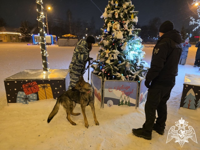 В Карелии сотрудники Росгвардии обеспечили общественный порядок в новогоднюю ночь