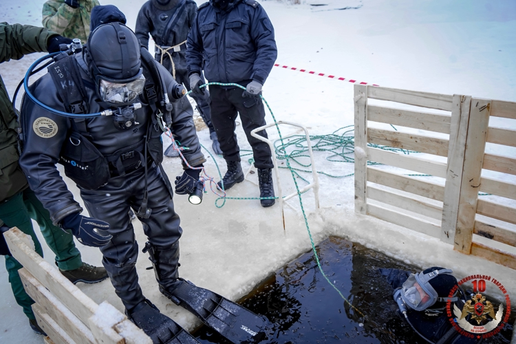 Водолазы Росгвардии из Карелии отработали поиск взрывных устройств в акватории Финского залива (видео)