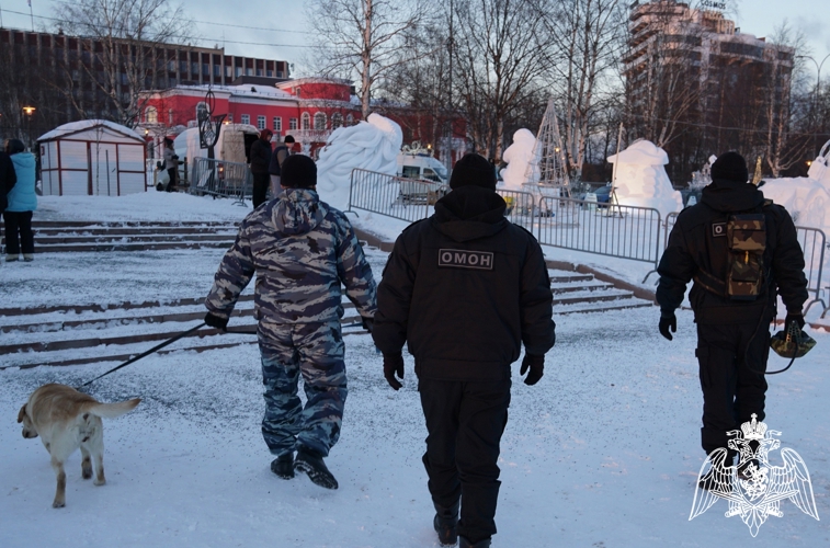 Телесюжет "ГТРК Карелия" от 24.01.26