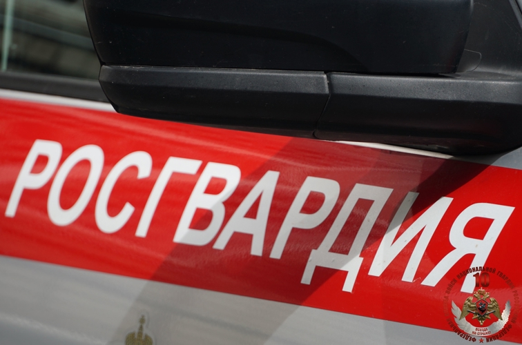 Девять правонарушителей задержаны сотрудниками Росгвардии в Карелии