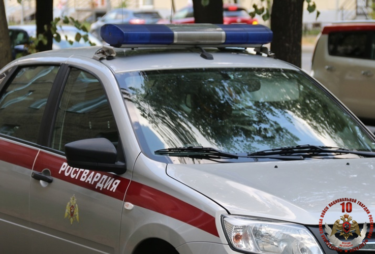 На 234 сигнала тревоги отреагировали карельские росгвардейцы за прошедшую неделю