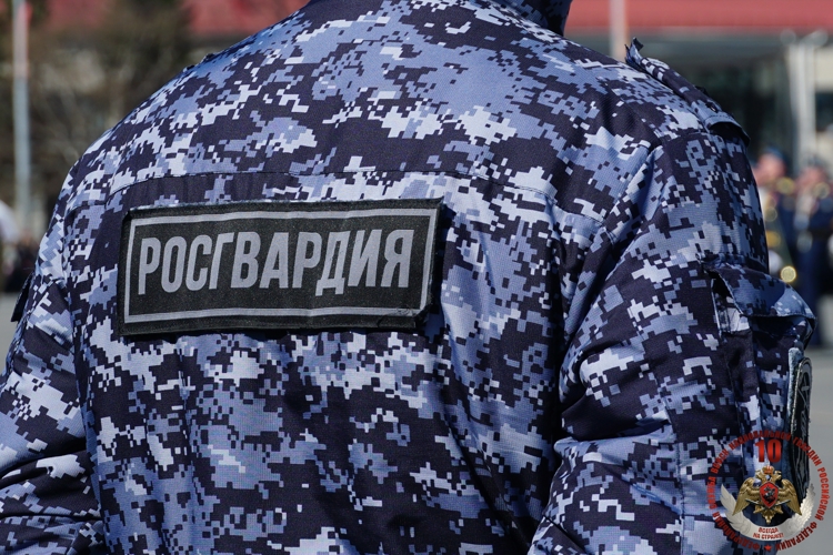 Карельские росгвардейцы за неделю пресекли шесть попыток хищения