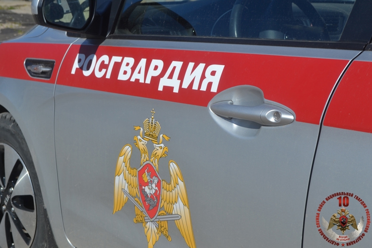 Сотрудники вневедомственной охраны Росгвардии за неделю более 320 раз выезжали на тревожные вызовы