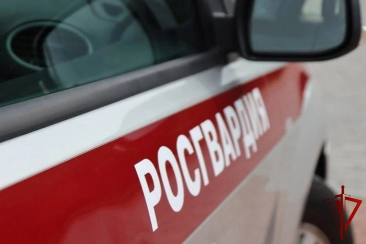 За прошедшую неделю сотрудники Росгвардии более 300 раз выезжали по сигналу «тревога»