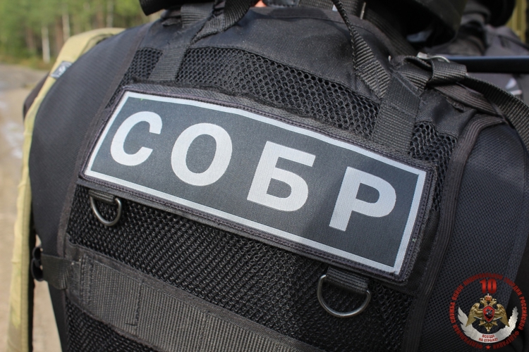 При силовой поддержке карельского СОБР «Карху» задержан подозреваемый в применении насилия в отношении представителя власти