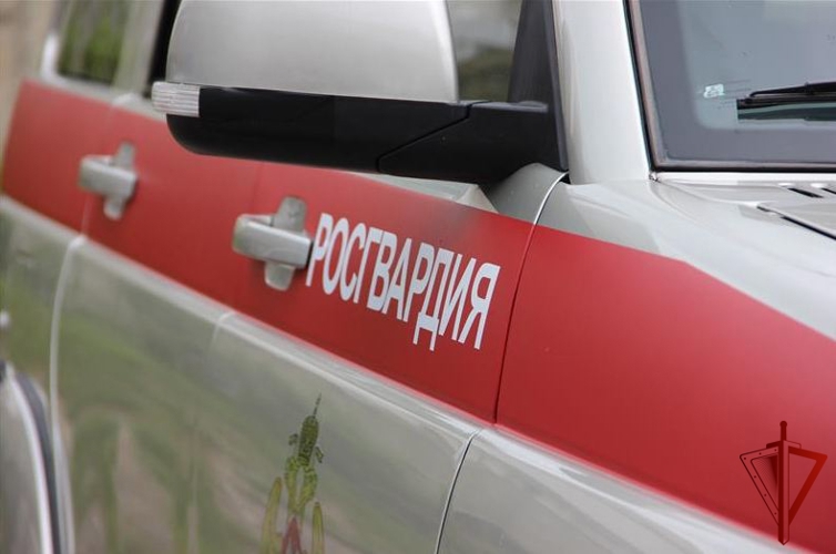 Патрули Росгвардии задержали 17 человек на охраняемых объектах Карелии