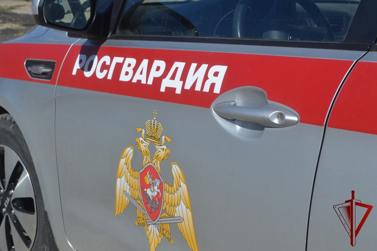 Патрули Росгвардии Карелии за неделю более 260 раз выезжали на тревожные вызовы