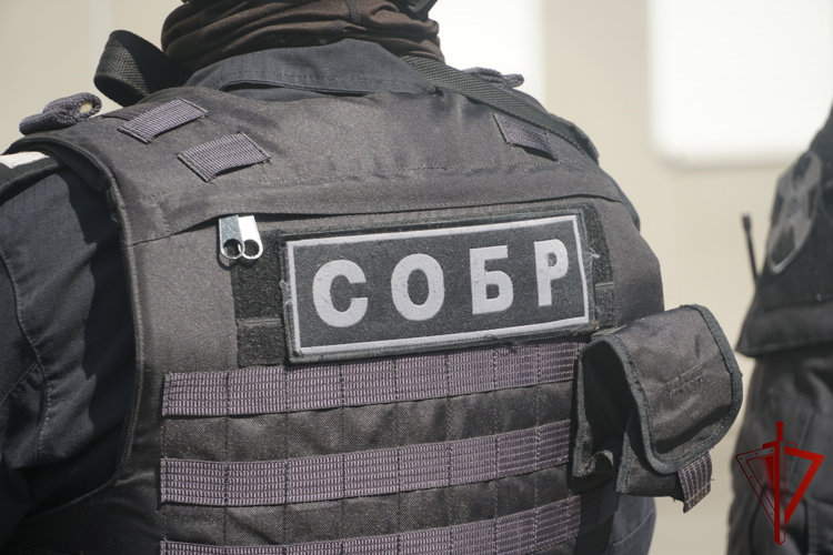 В Карелии росгвардейцы оказали содействие следователям в задержании подозреваемой в покушении на убийство