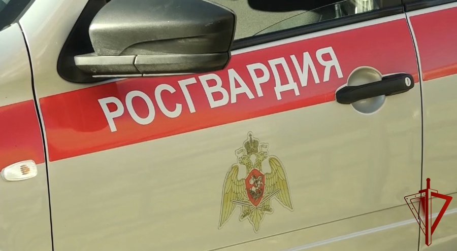 Карельские росгвардейцы задержали 6 правонарушителей